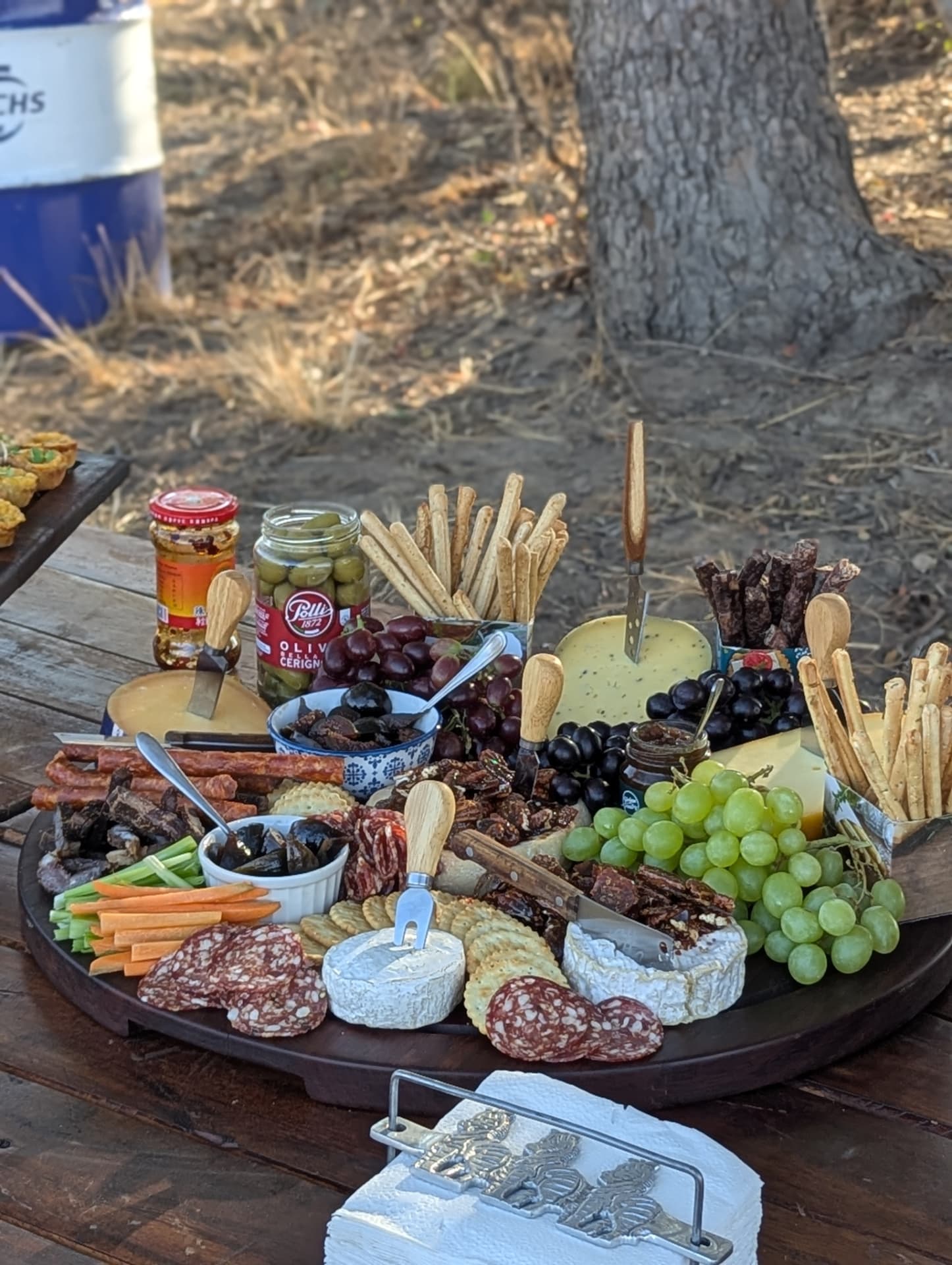 Grazing board with cheeses, biltong, salami, olives and grapes