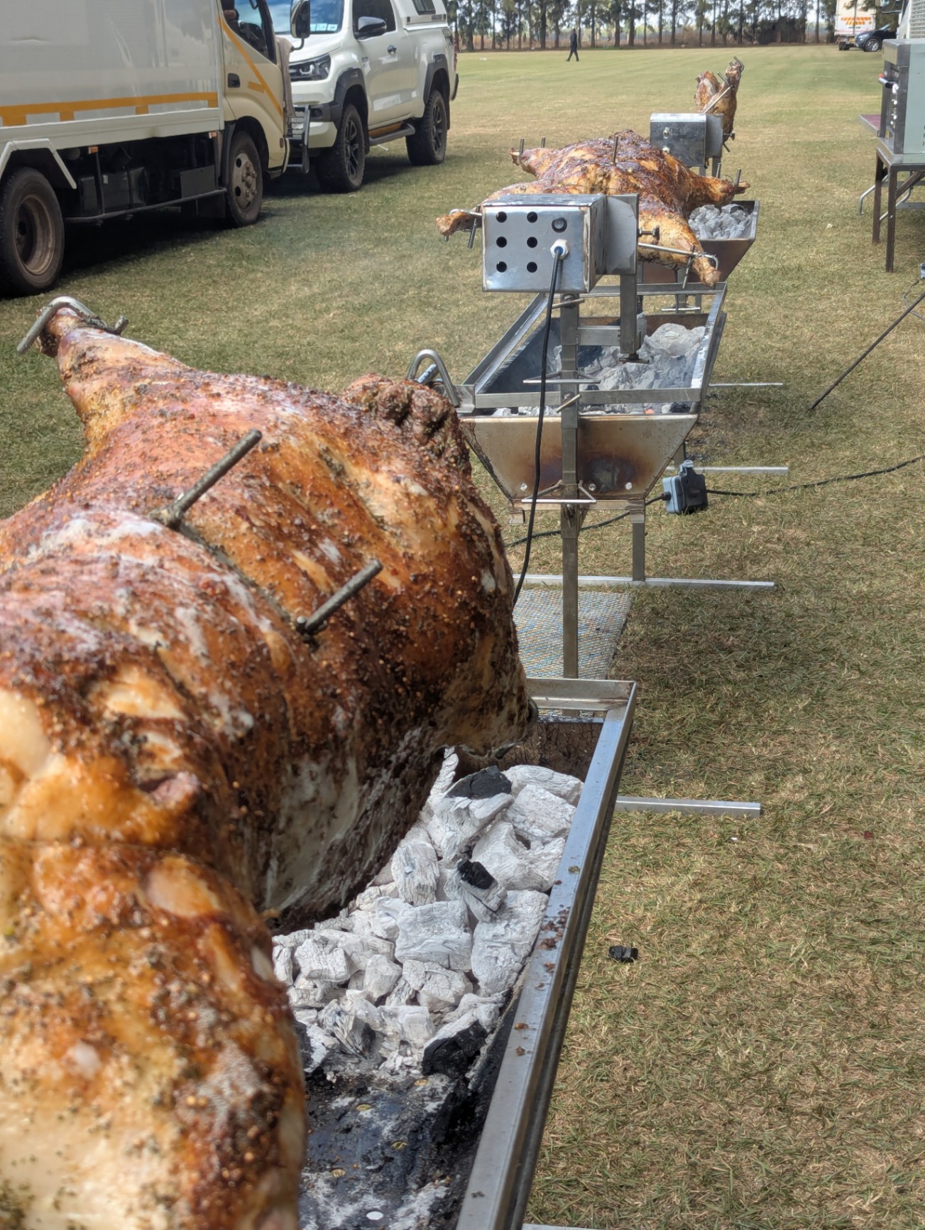 Whole spit-roasted lamb over coals at an outdoor wedding